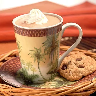 Cacao caliente para microondas de una porción