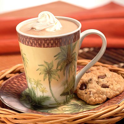 How to make hot chocolate best sale with cocoa powder microwave