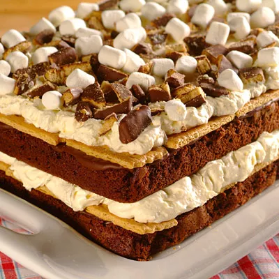 Sensational S'More Torte