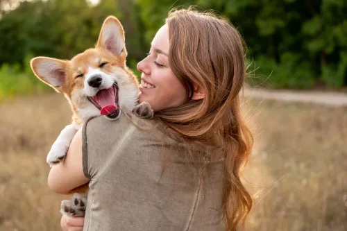 Libby's pure pumpkin for dogs clearance