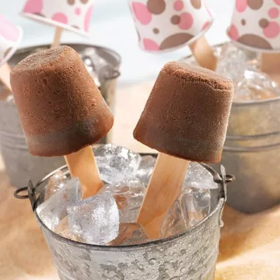 Frozen Fudge Pops