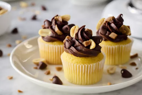 Mini Chocolate Peanut Caramel Cupcakes