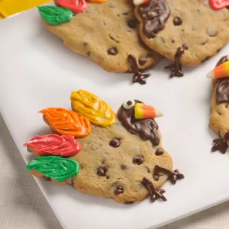 Chocolate Chip Turkeys