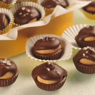 Dark Chocolate Peanut Butter Candies