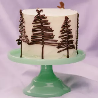 Winter Wonderland Cake