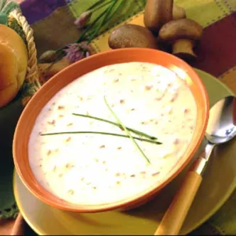 Cream of Mushroom Soup
