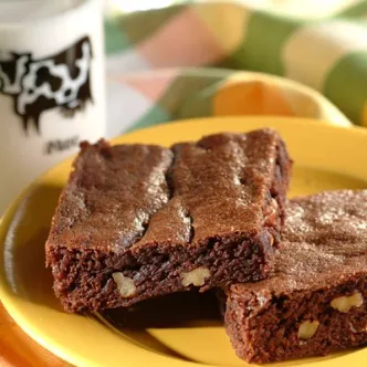 Fudgy Chocolate Brownies