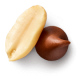 Chocolate morsel next to a peanut.